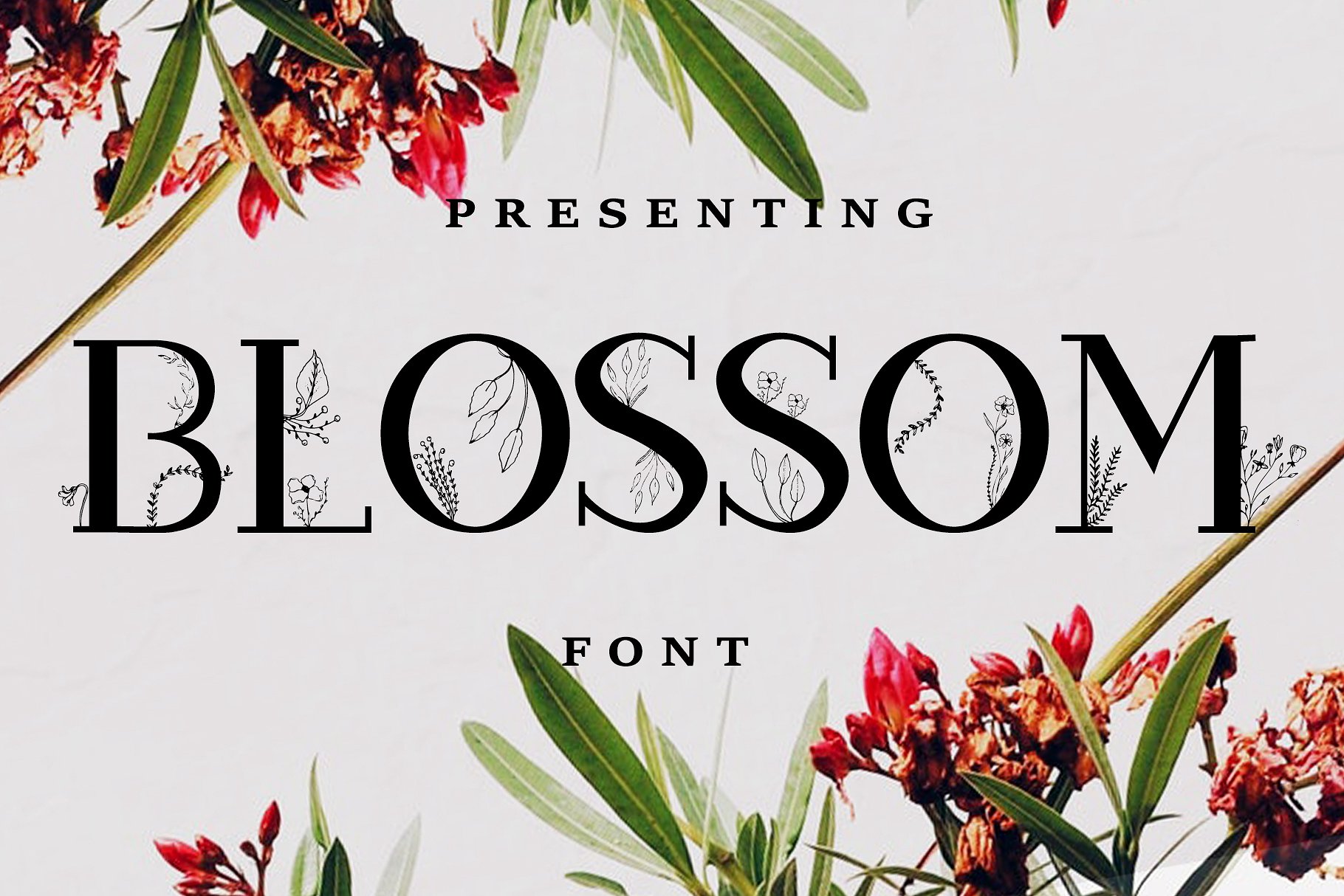 Blossom浪漫花卉字体 Blossom Romantic Floral Font插图