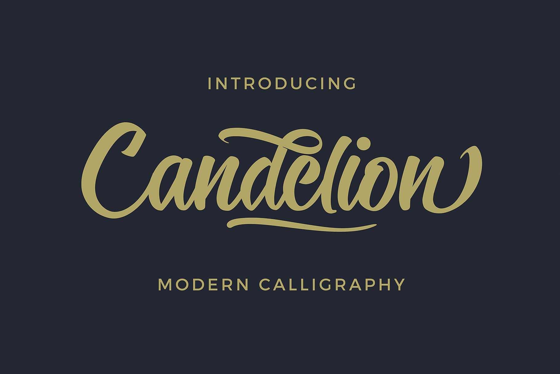 Candelion手工刻字现代书法字体 Candelion Hand Lettering Modern Calligraphy Font插图