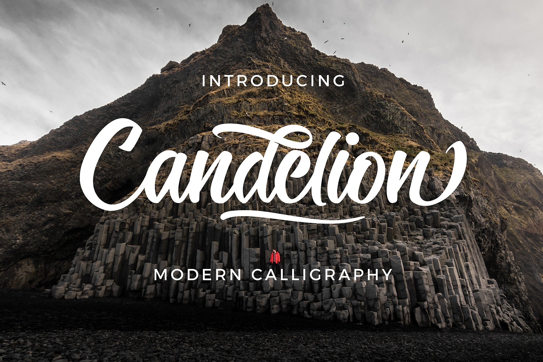 Candelion手工刻字现代书法字体 Candelion Hand Lettering Modern Calligraphy Font插图1