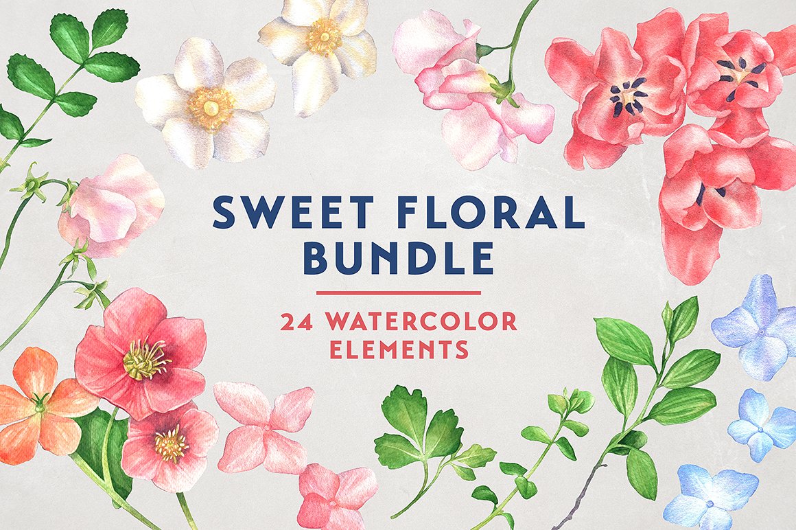 甜美花卉水彩集合 Sweet Floral Watercolor Bundle插图