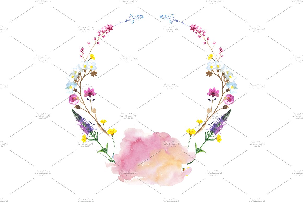 野生水彩花卉集合 Wild Flowers Watercolor Set插图11