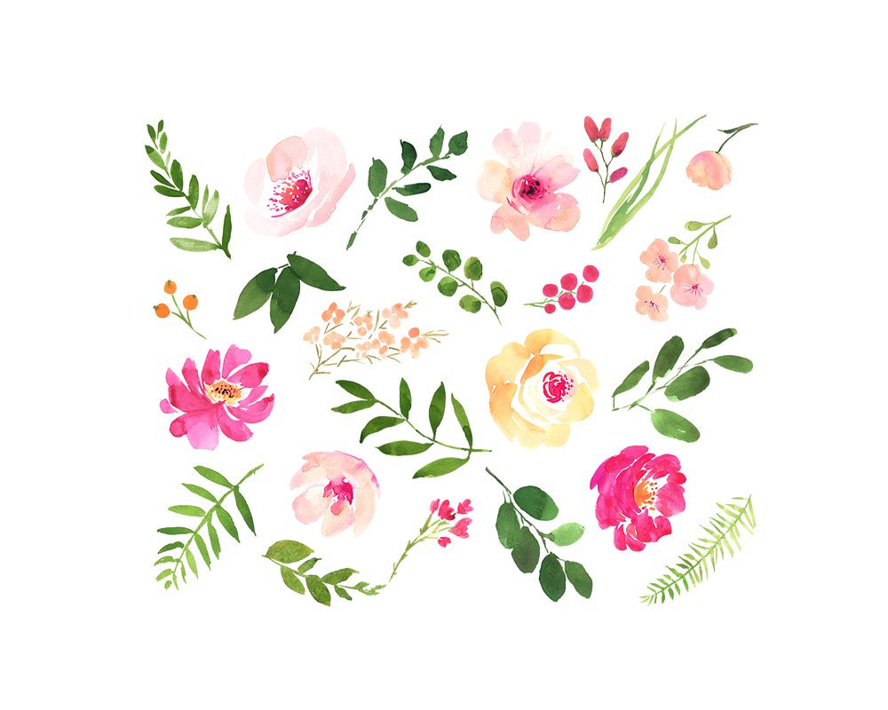 水彩玫瑰花束图案 Rosaleen – watercolor clipart插图2