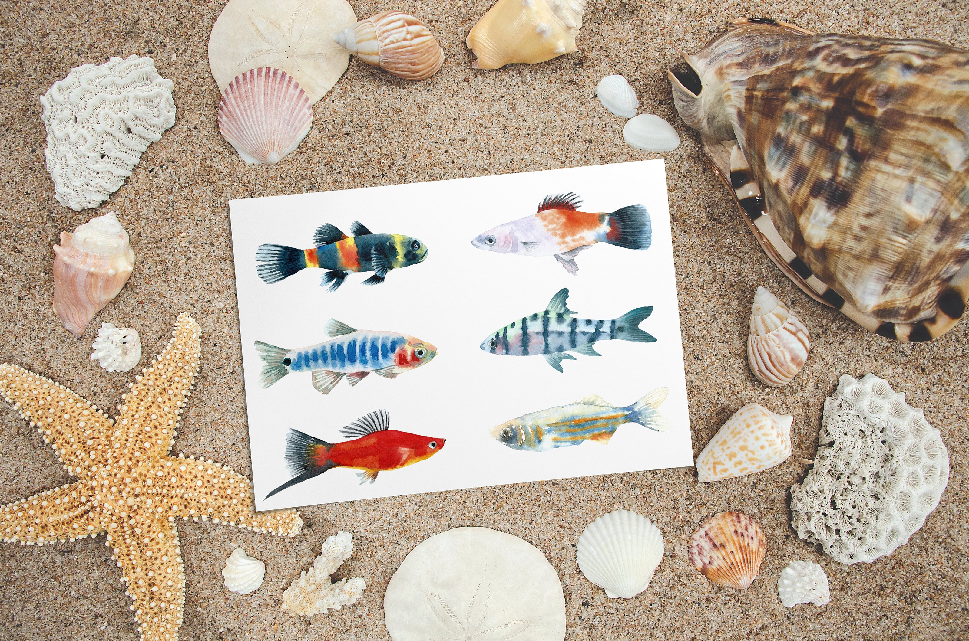 水族馆鱼水彩剪贴画 Aquarium Fishes Watercolor Clipart插图2
