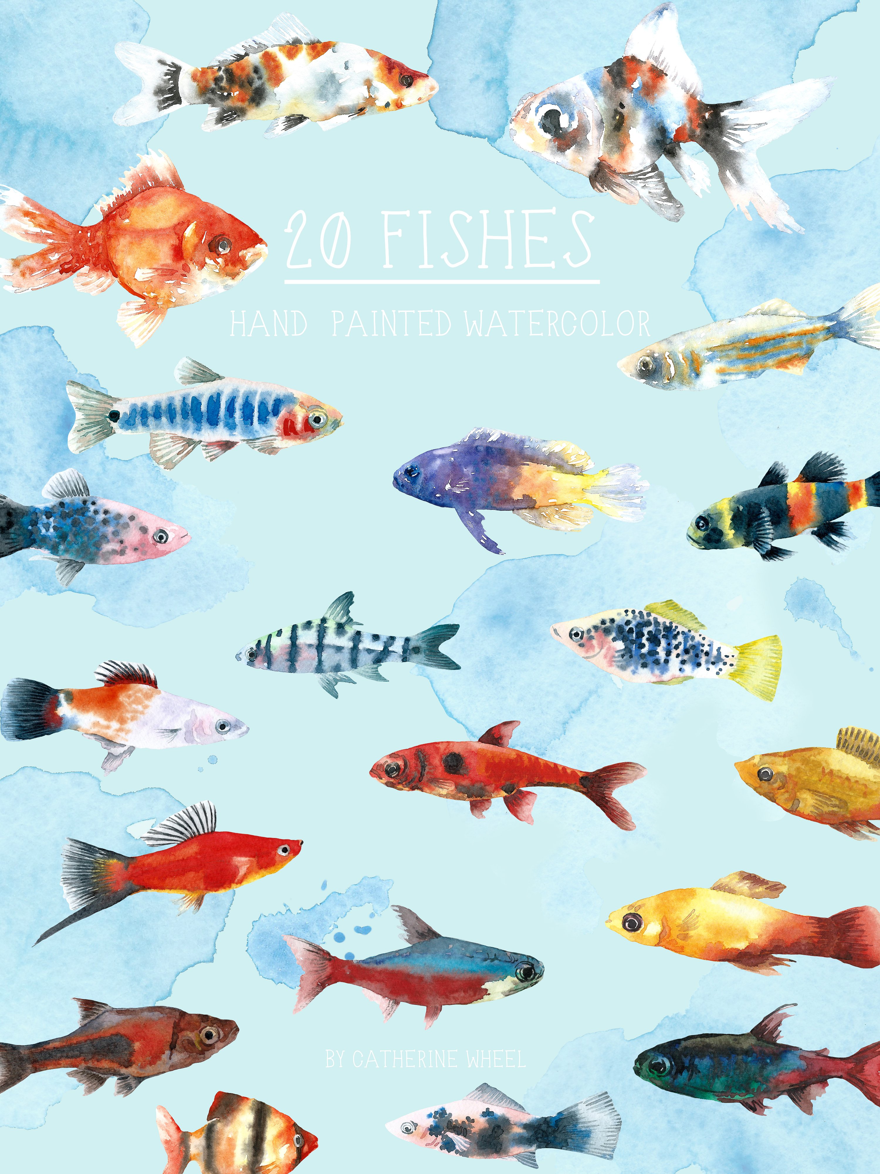 水族馆鱼水彩剪贴画 Aquarium Fishes Watercolor Clipart插图4