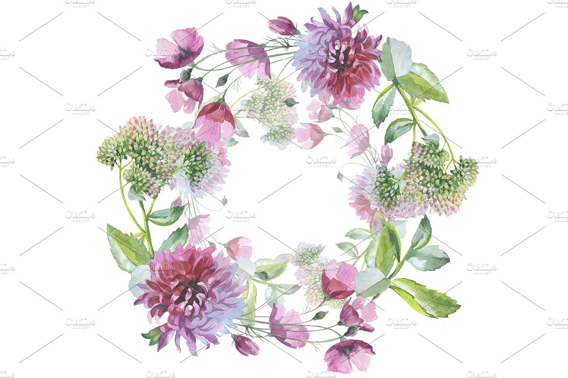 野生水彩花卉集合 Wild Flowers Watercolor Set插图7