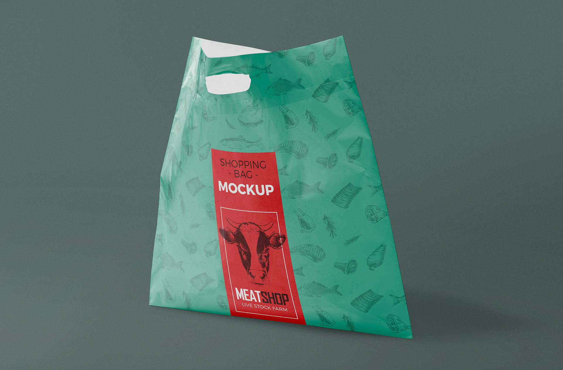 独立式塑料袋样机 Standing Plastic Bag Mockup插图1