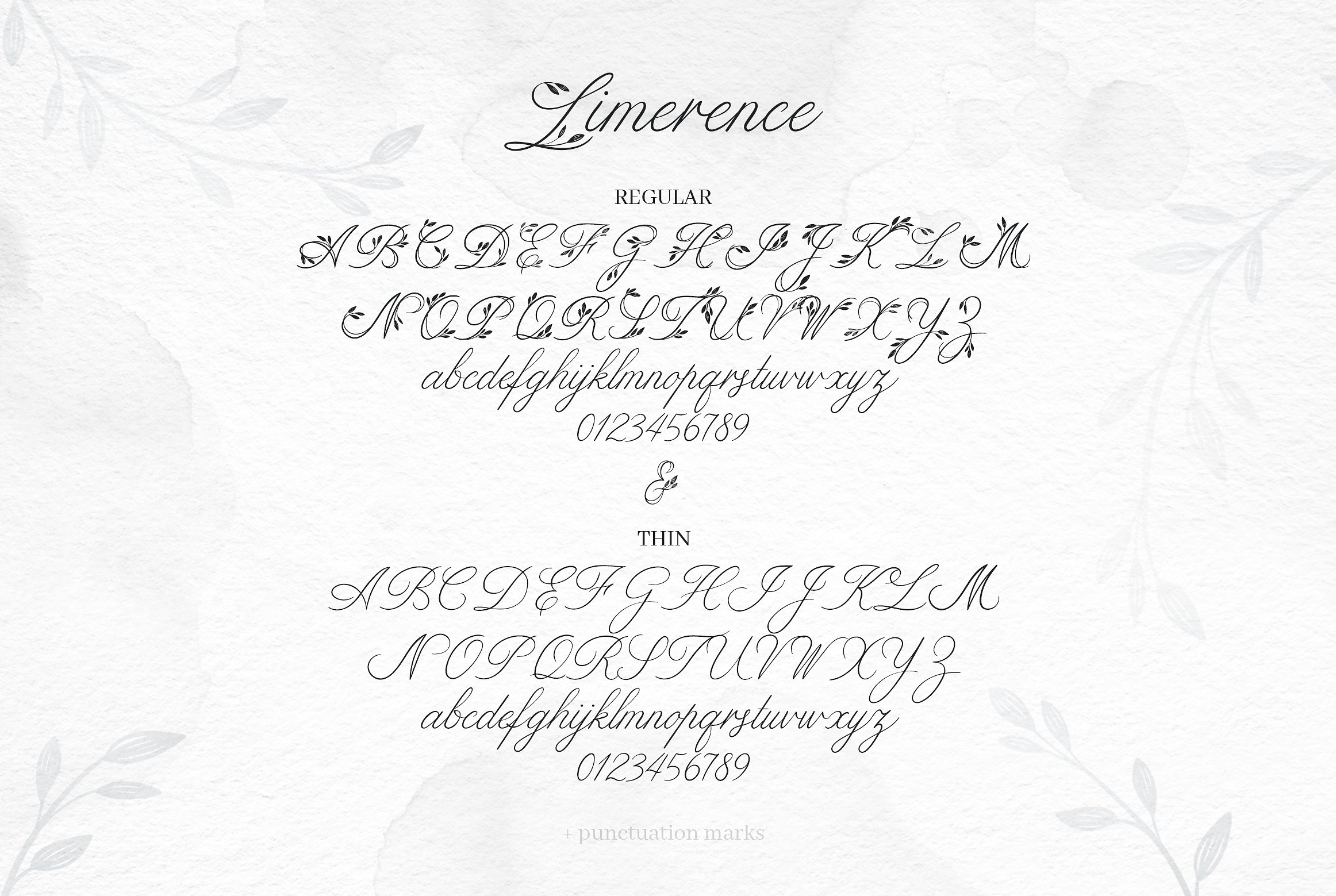 Limerence优雅女性花卉字体 Limerence Elegant Female Floral Font插图11