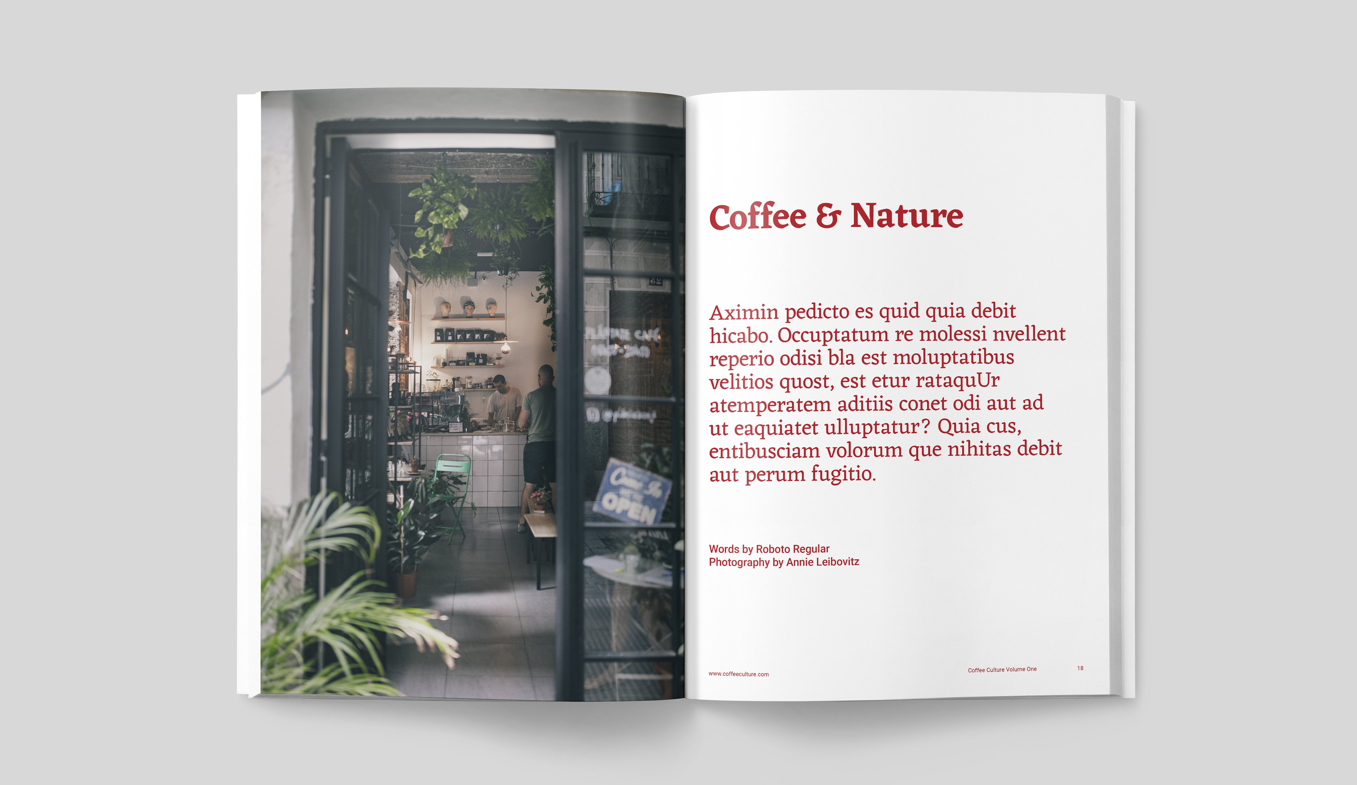 咖啡文化画册 COFFEE CULTURE MAGAZINE插图21