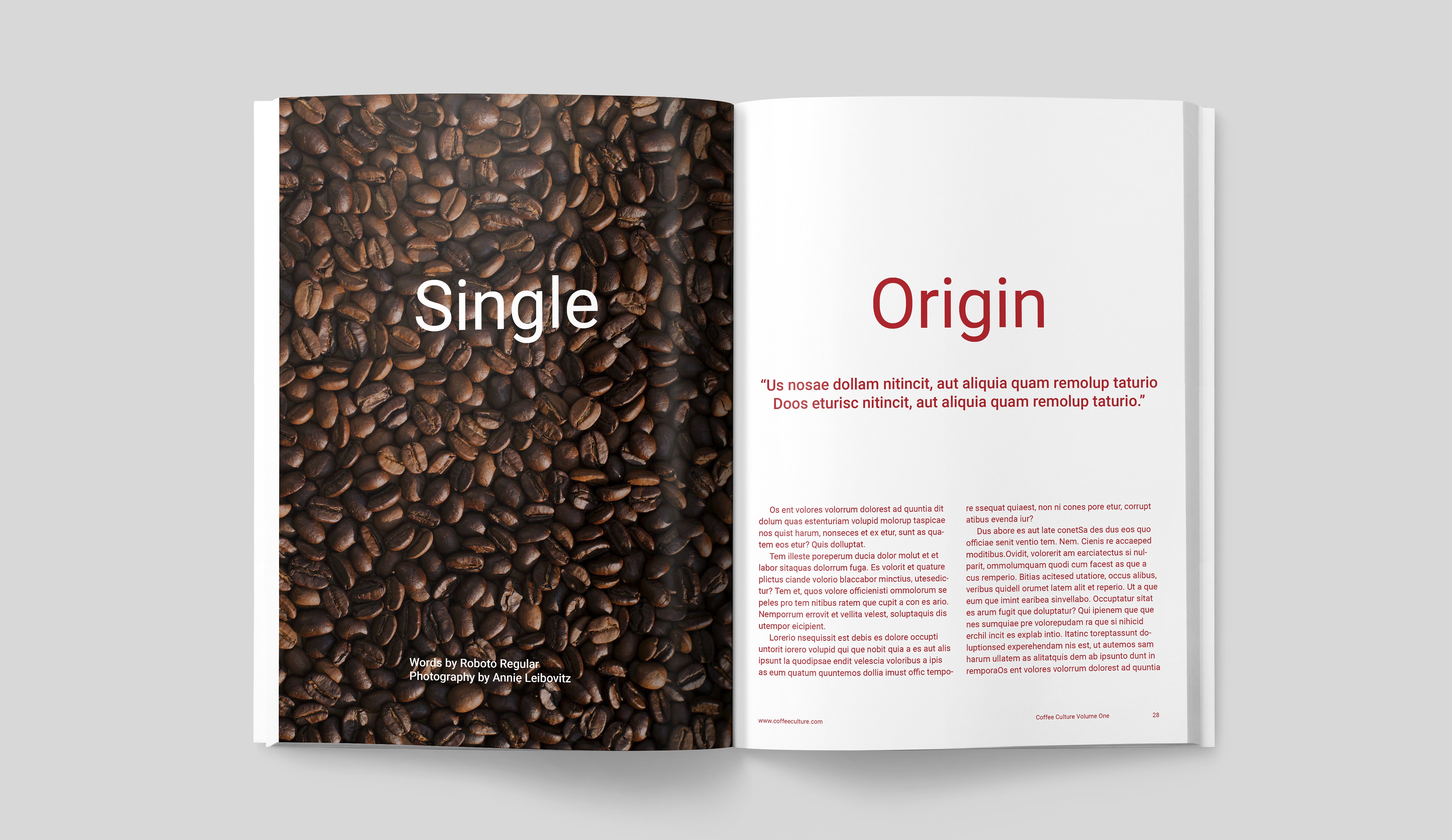 咖啡文化画册 COFFEE CULTURE MAGAZINE插图11