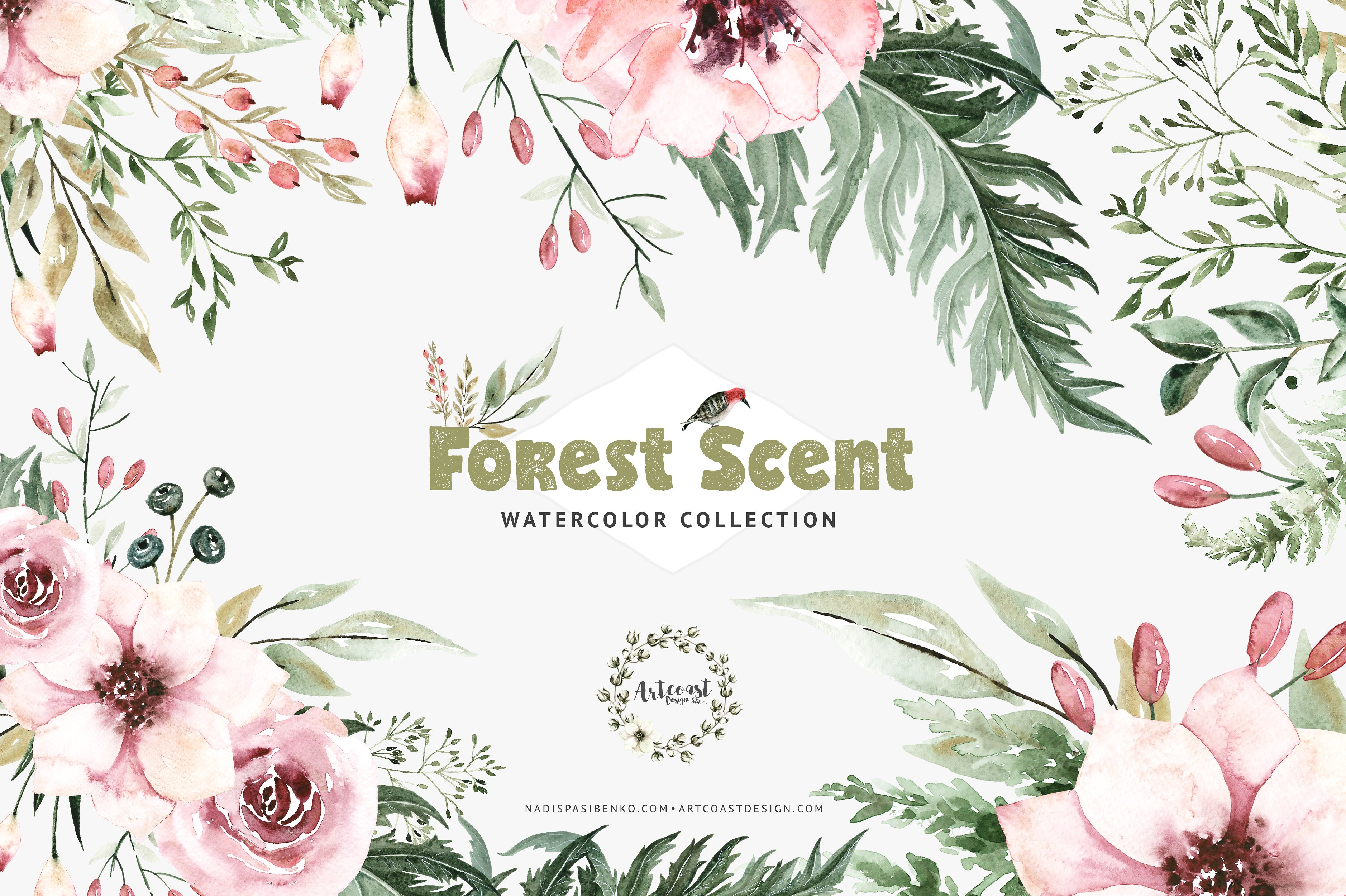 森林气息的水彩剪贴画 Watercolor Forest Scent插图