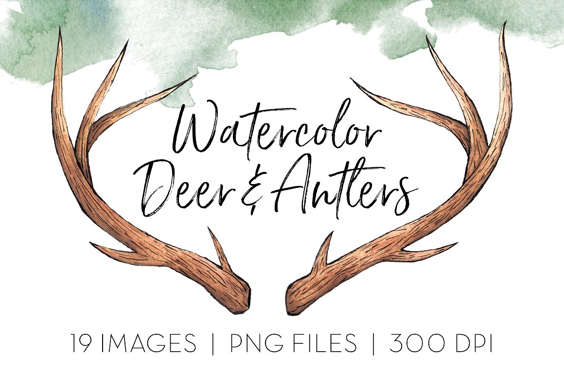 水彩鹿角剪贴画 Watercolor Deer Antlers Clipart插图