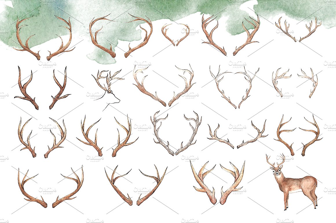 水彩鹿角剪贴画 Watercolor Deer Antlers Clipart插图1