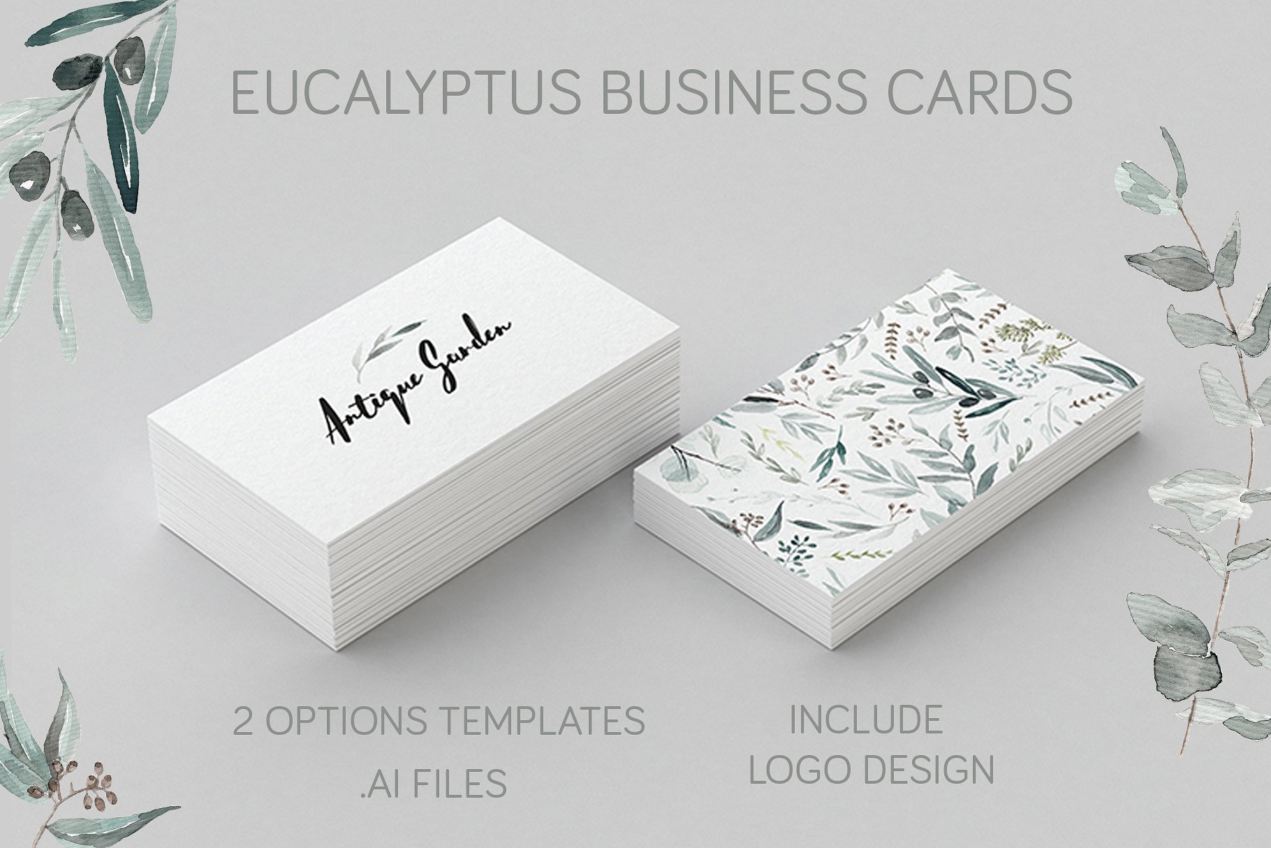 桉树名片样机 Eucalyptus Business Card Template插图