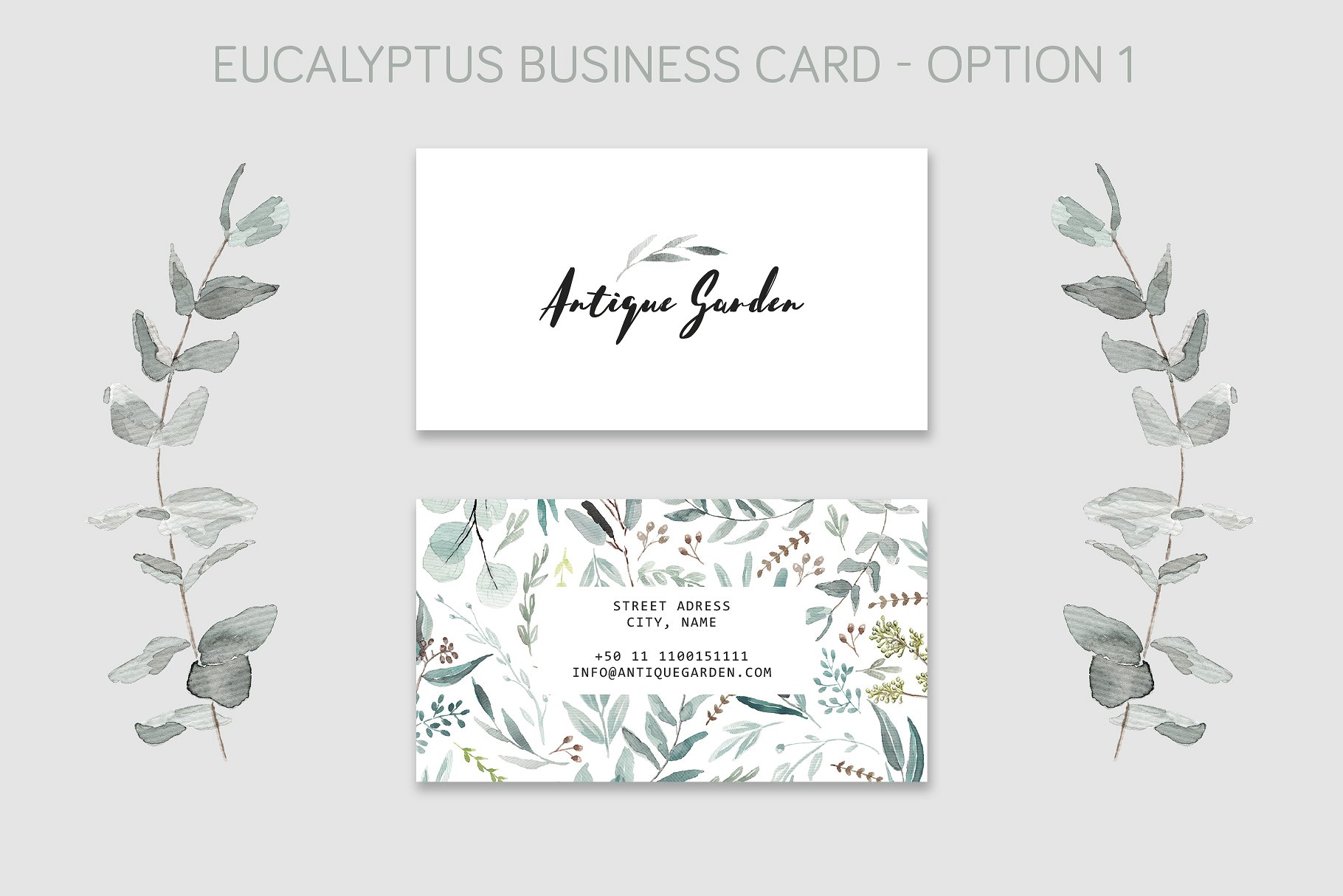 桉树名片样机 Eucalyptus Business Card Template插图2
