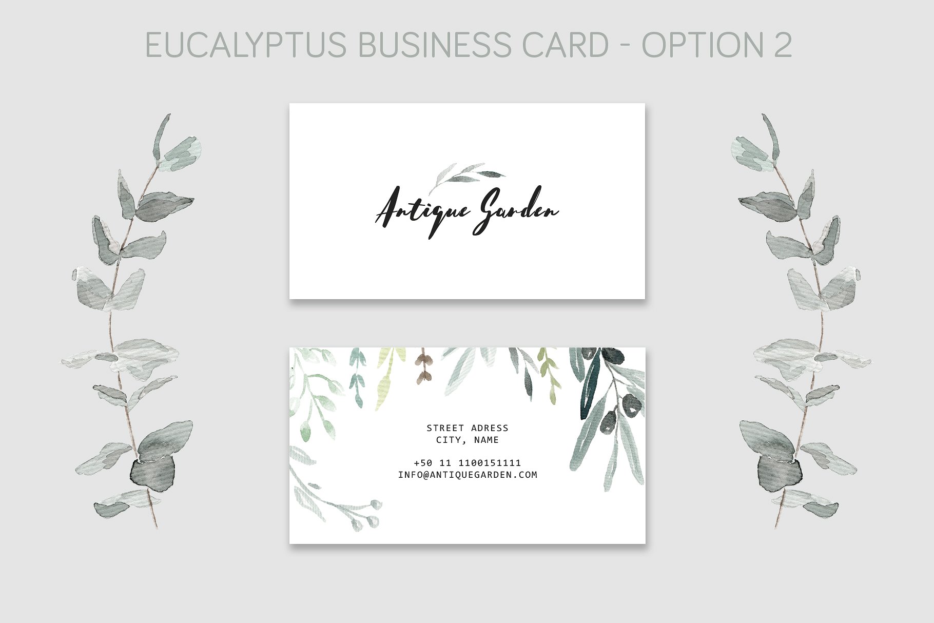 桉树名片样机 Eucalyptus Business Card Template插图1