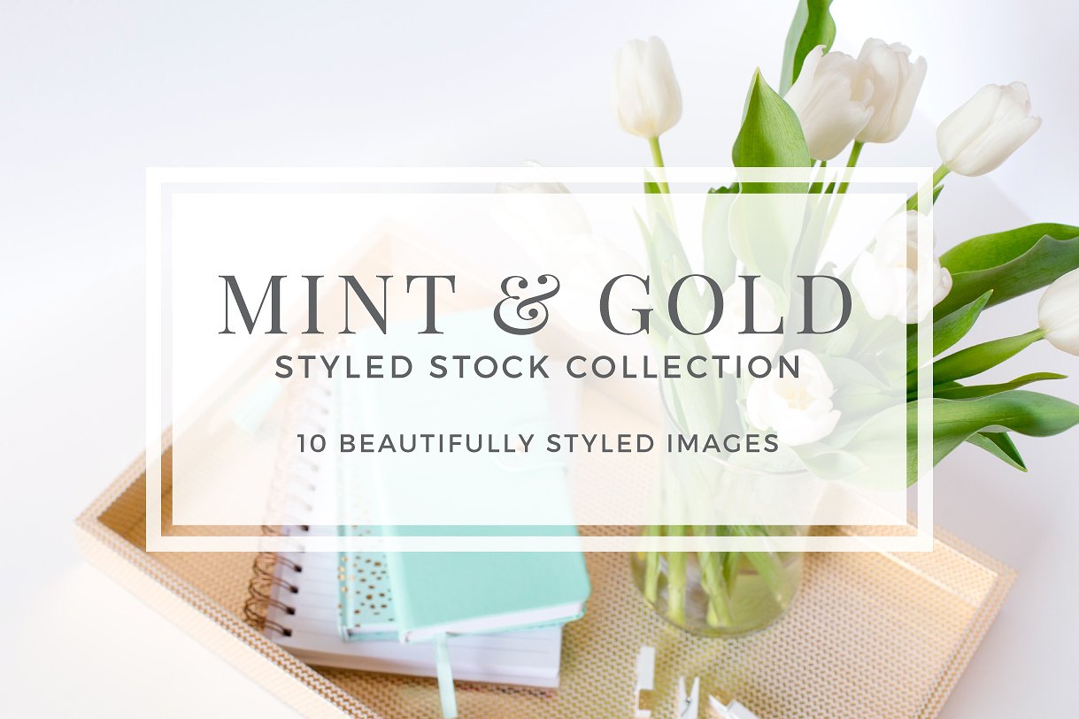薄荷和黄金风格照片 Mint Gold Styled Stock插图