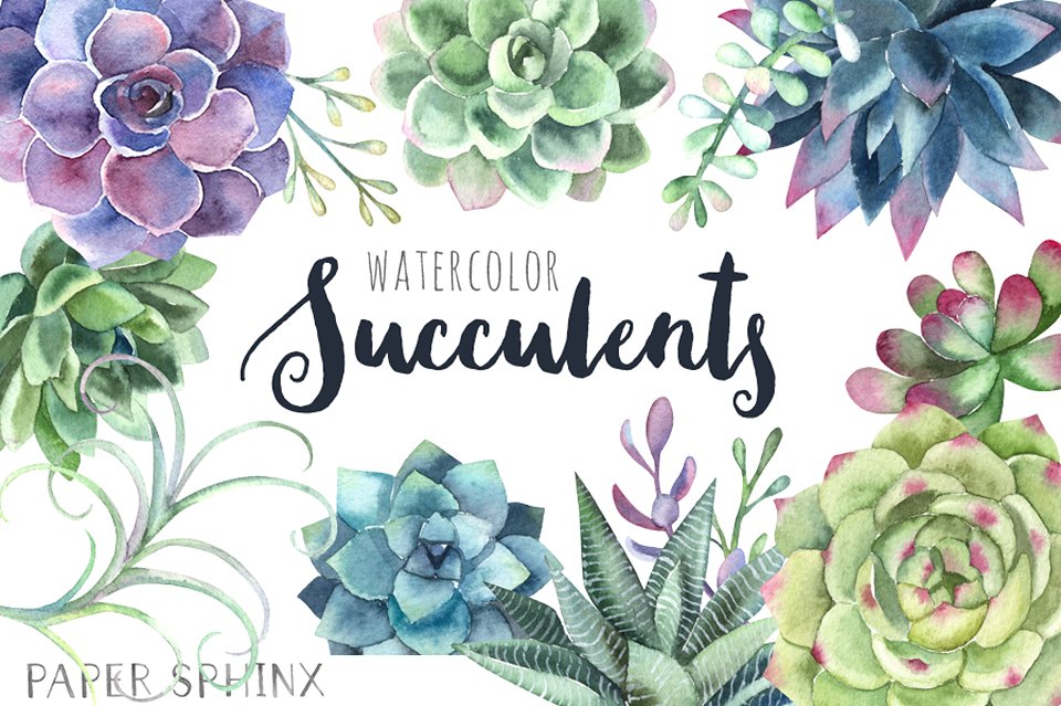 水彩多肉植物剪贴画 Watercolor Succulents Clip Art插图