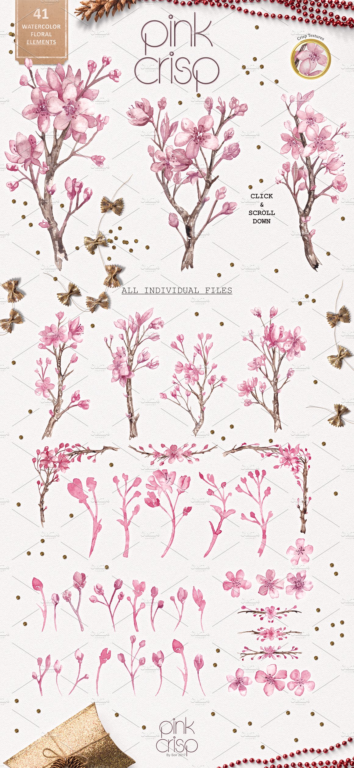 粉红色花卉集合 Pink Flower Collection插图3