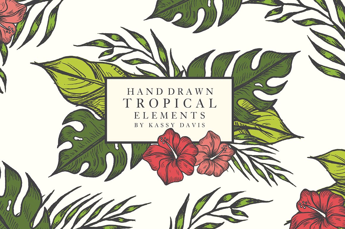 手绘热带植物花卉元素 Hand Drawn Tropical Vector Elements插图