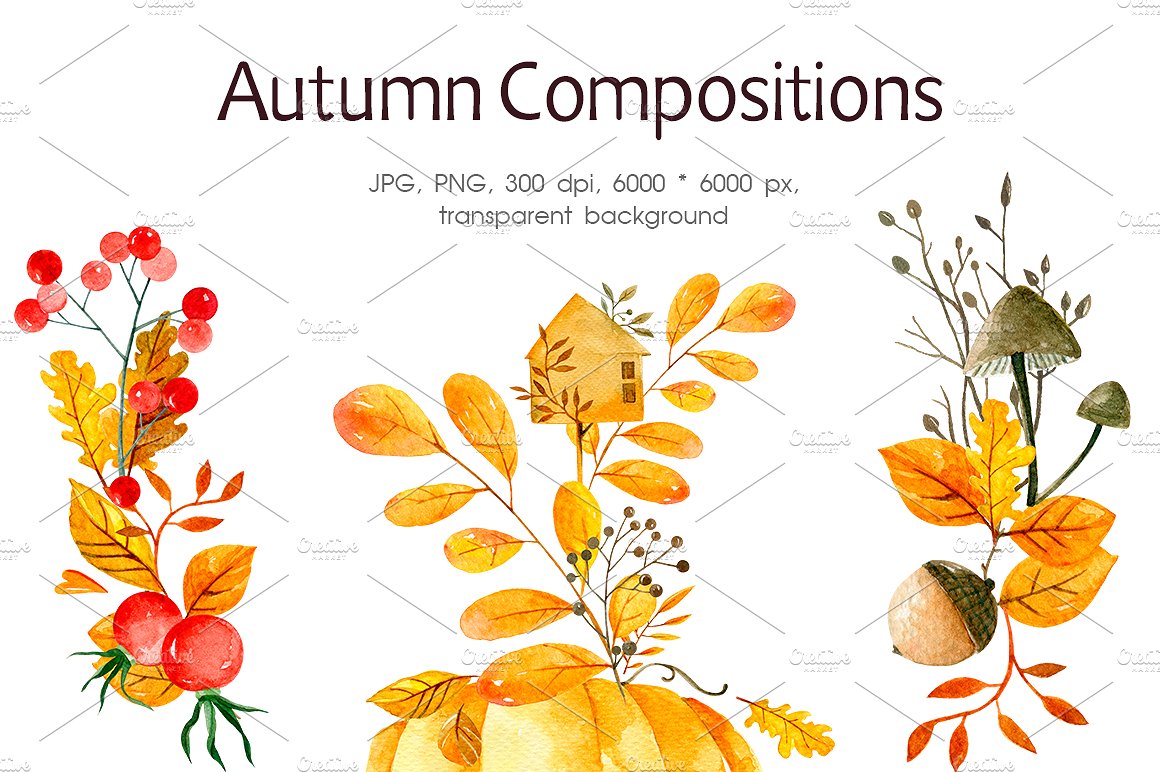 甜蜜秋季系列手绘水彩图像 Sweet Autumn Series Hand Painted Watercolor Image插图1
