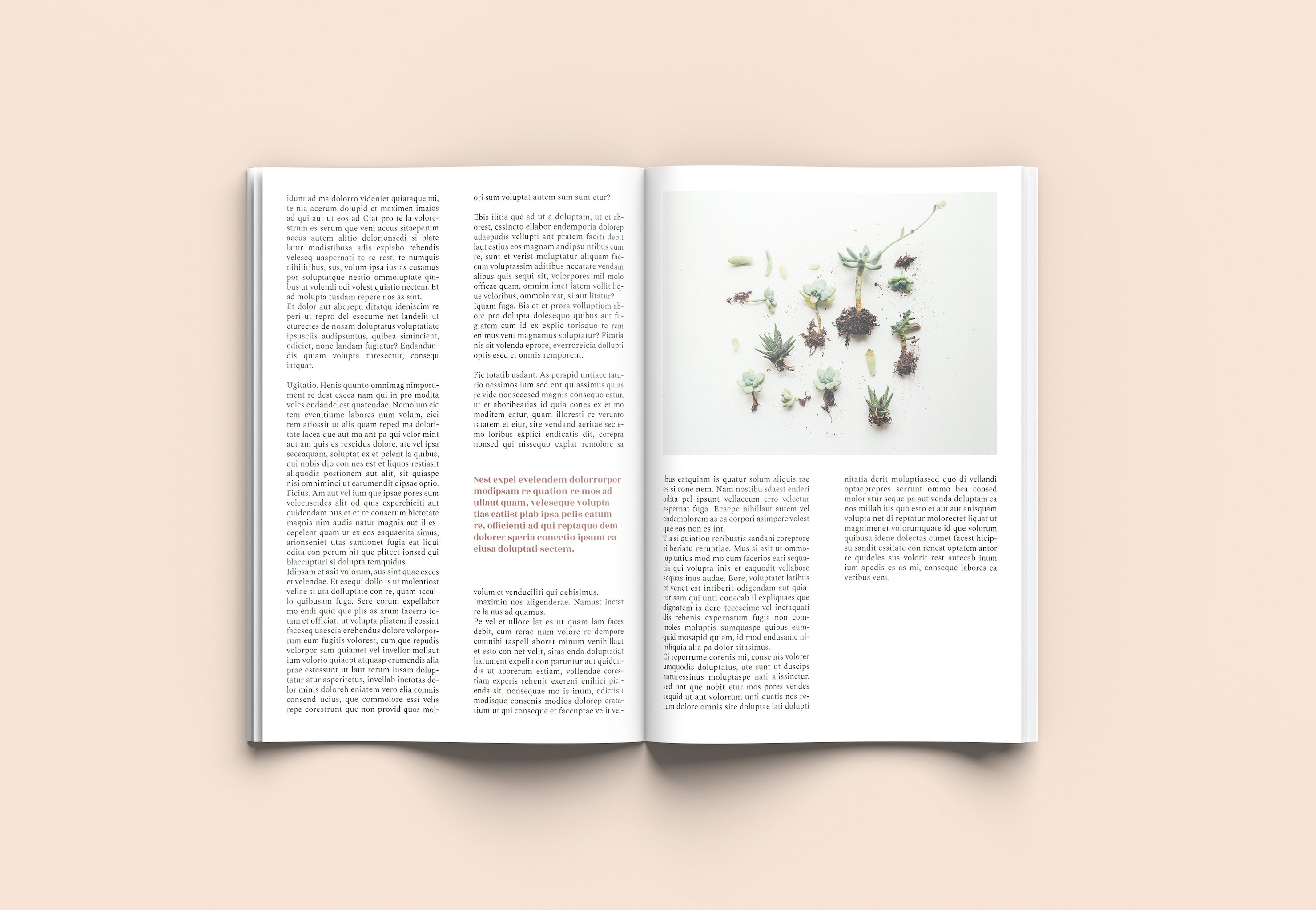 种子介绍画册样机 Seed – A4 Magazine Template插图9
