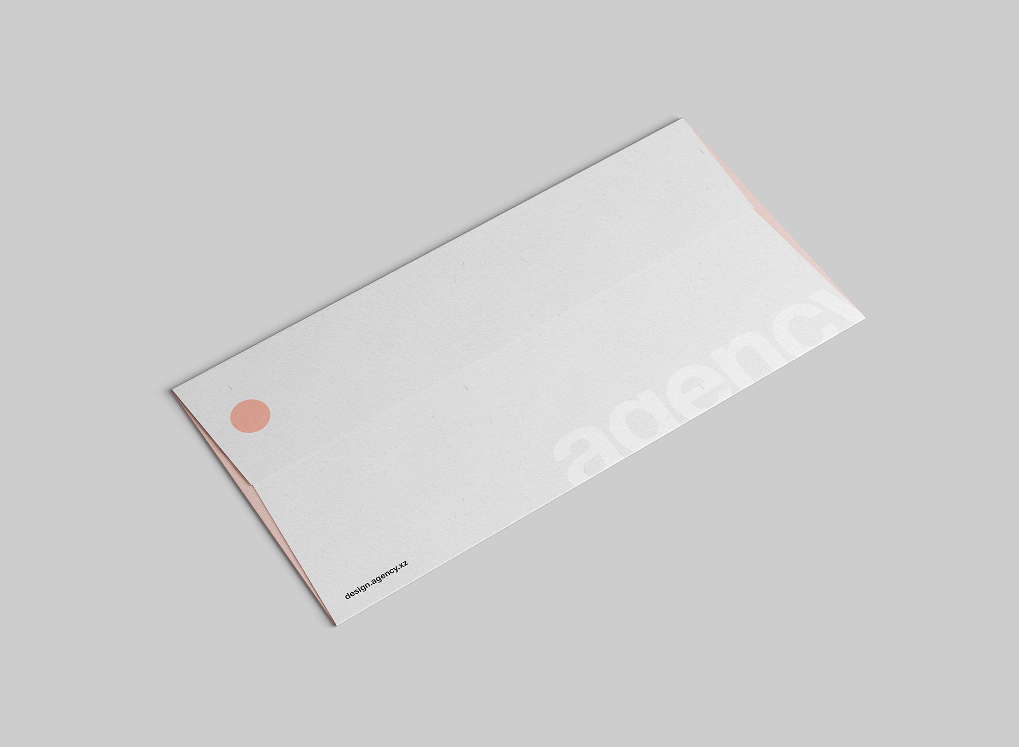 简洁精致的标准DL信封样机 Standard Dl Envelope Mockup插图1