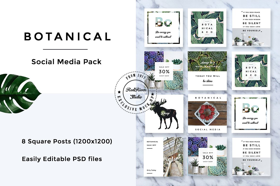 植物元素社交媒体包 Botanical Social Media Pack插图