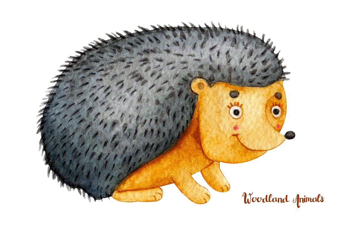 手绘水彩森林暖色系图案集合 Woodland Animals. Watercolor Bundle插图