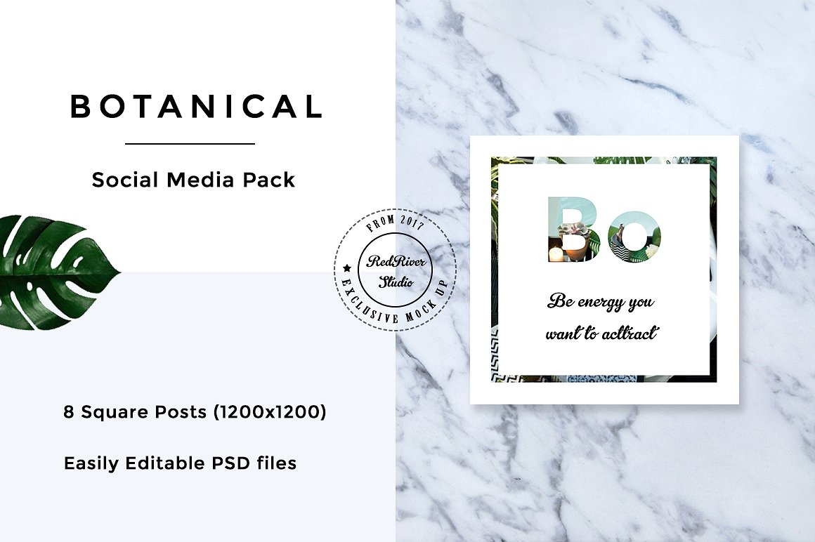 植物元素社交媒体包 Botanical Social Media Pack插图11