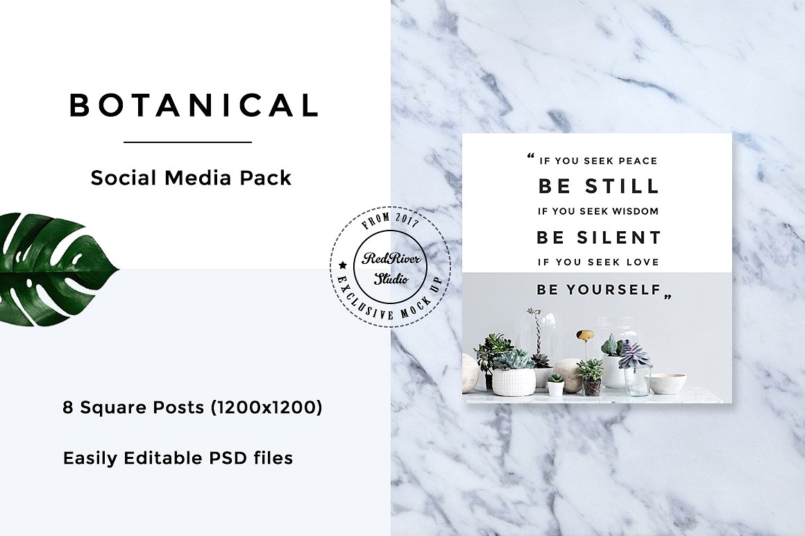 植物元素社交媒体包 Botanical Social Media Pack插图9