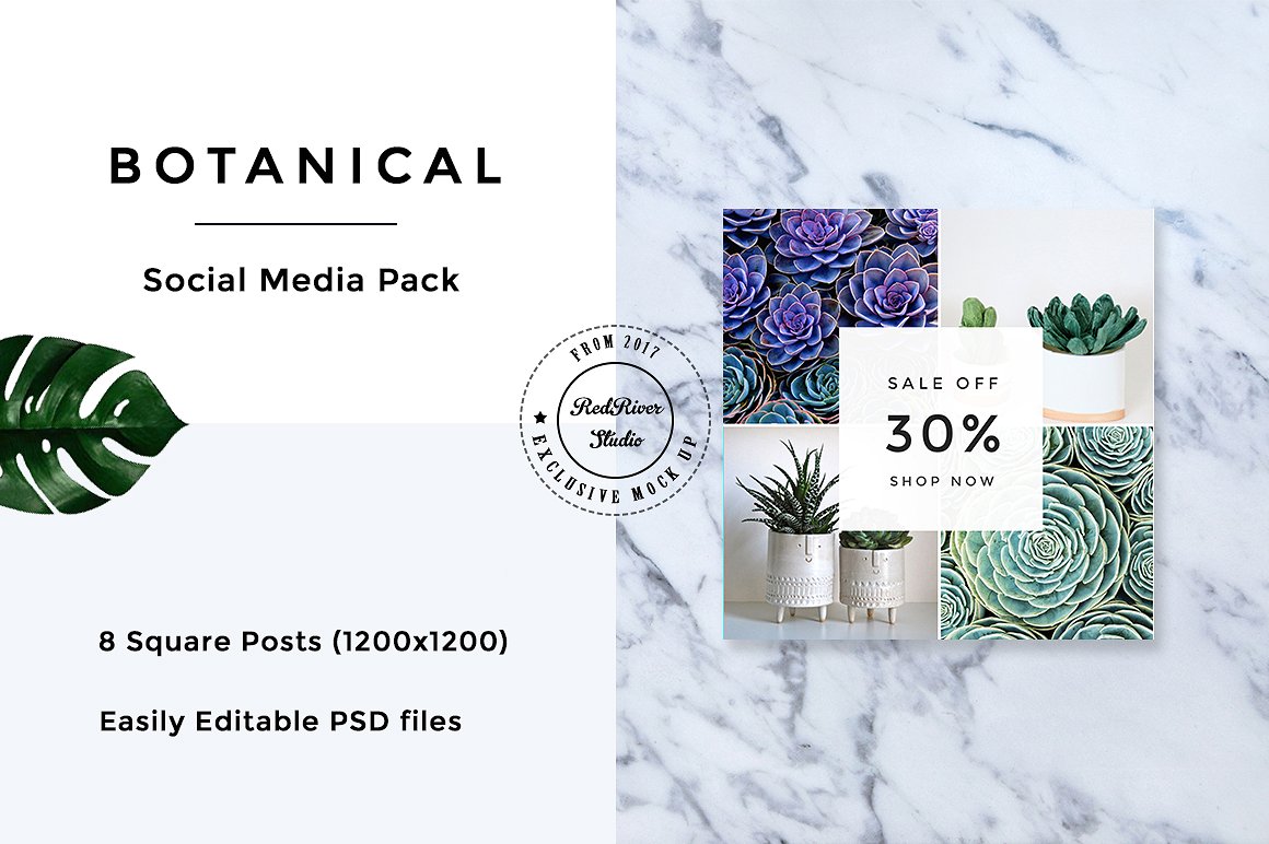 植物元素社交媒体包 Botanical Social Media Pack插图8