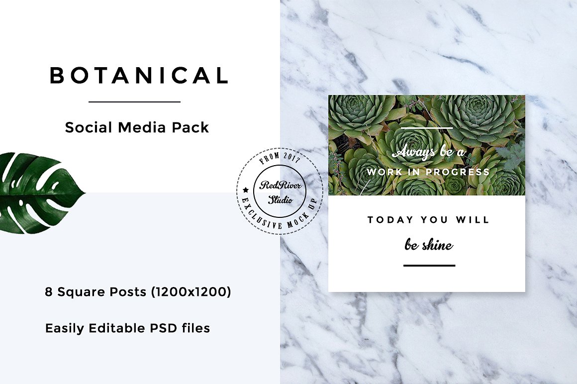 植物元素社交媒体包 Botanical Social Media Pack插图7