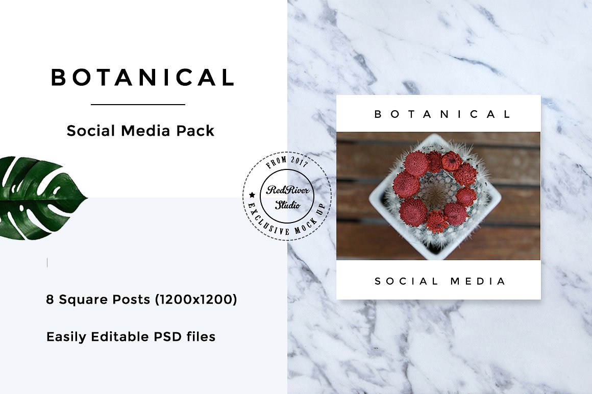植物元素社交媒体包 Botanical Social Media Pack插图6