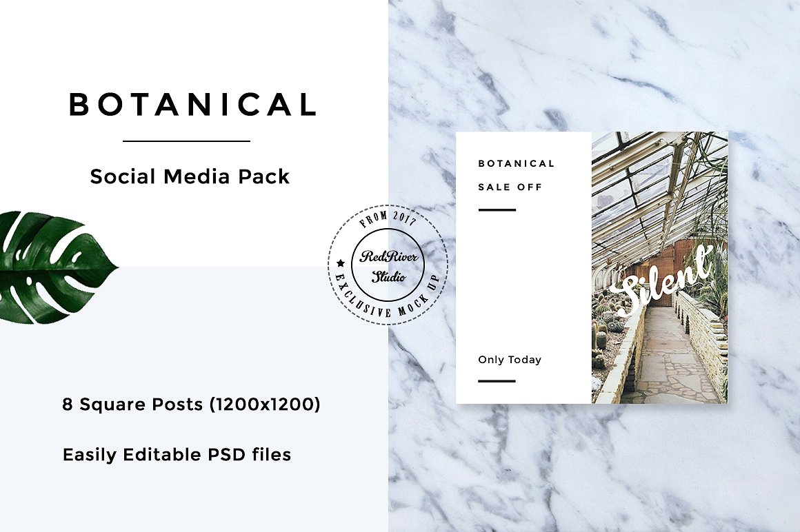 植物元素社交媒体包 Botanical Social Media Pack插图5