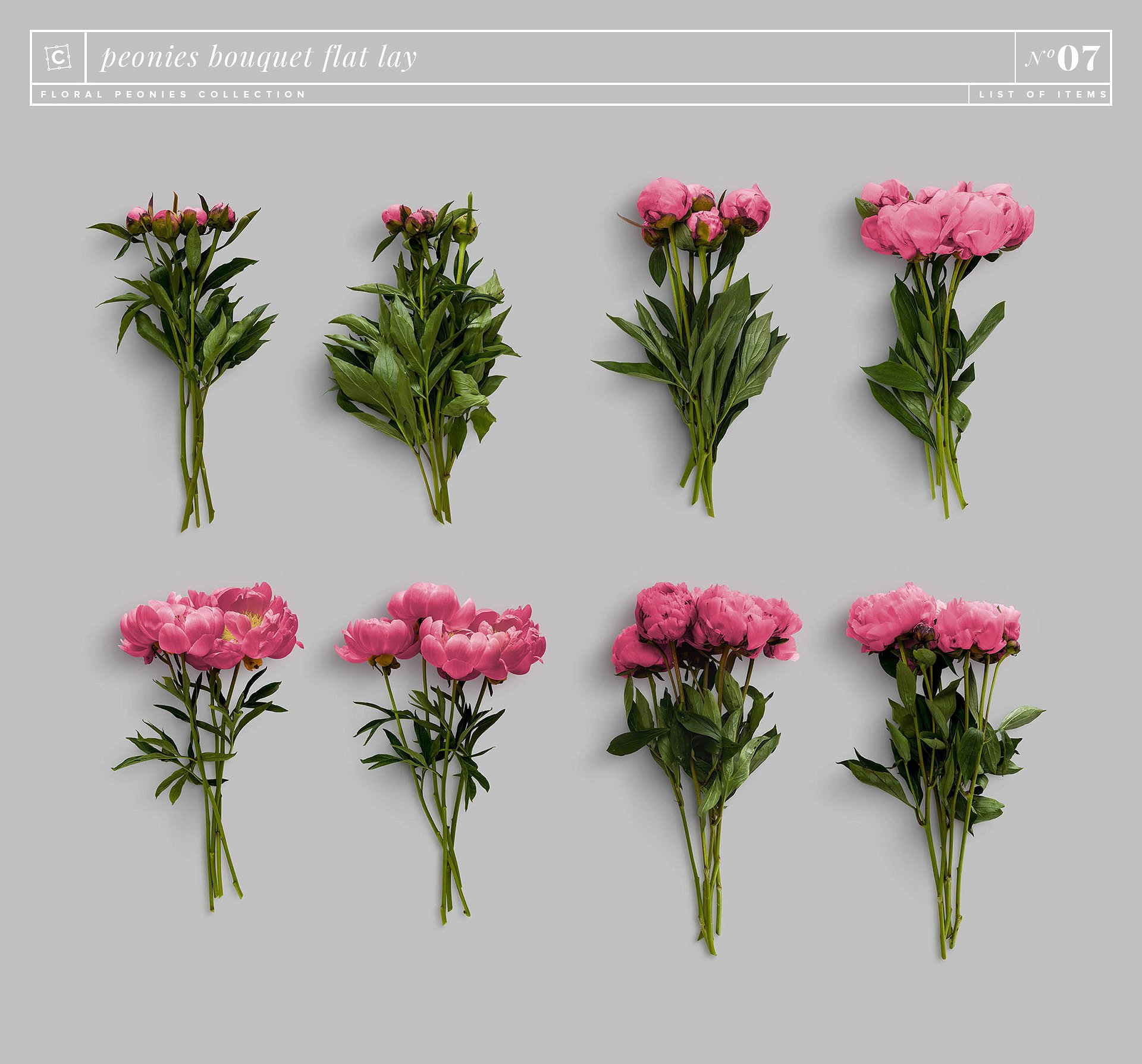牡丹花卉系列高清图片集合 Floral Peonies Collection插图15