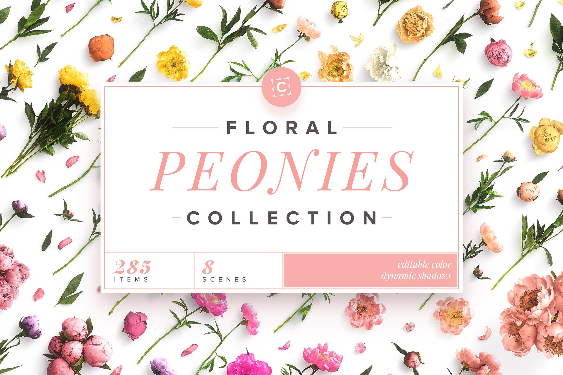 牡丹花卉系列高清图片集合 Floral Peonies Collection插图