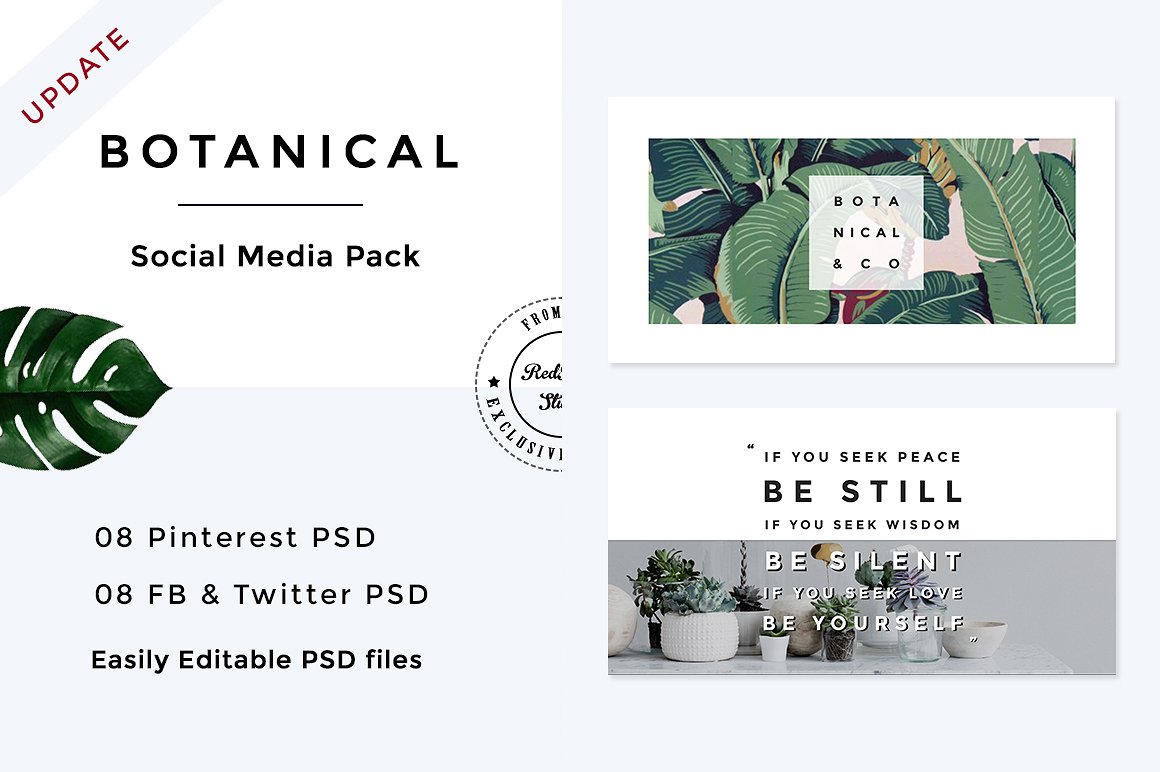 植物元素社交媒体包 Botanical Social Media Pack插图1