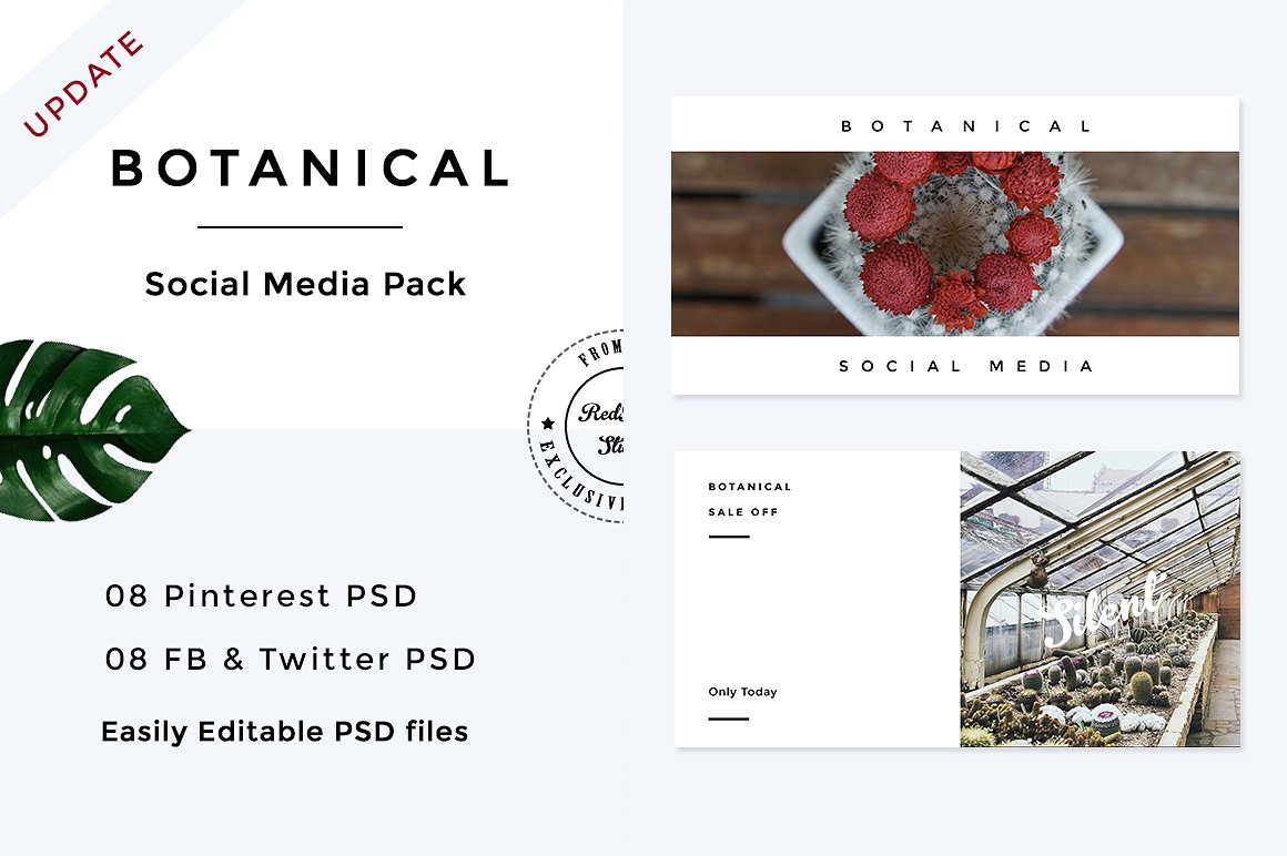 植物元素社交媒体包 Botanical Social Media Pack插图3