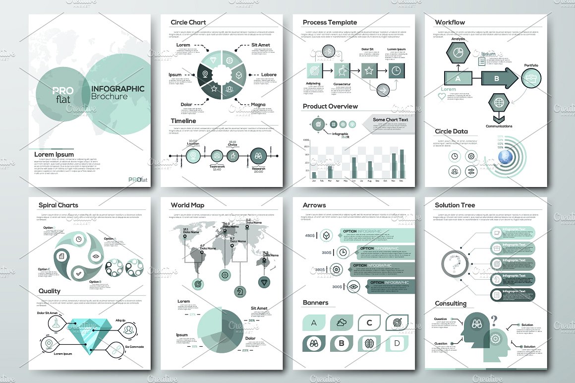 专业扁平化信息图表小册子 Pro Flat Infographic Brochure. Set插图3