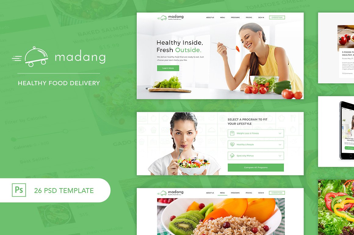 健康食品配送服务的现代和新鲜设计模板 Madang Food Delivery插图