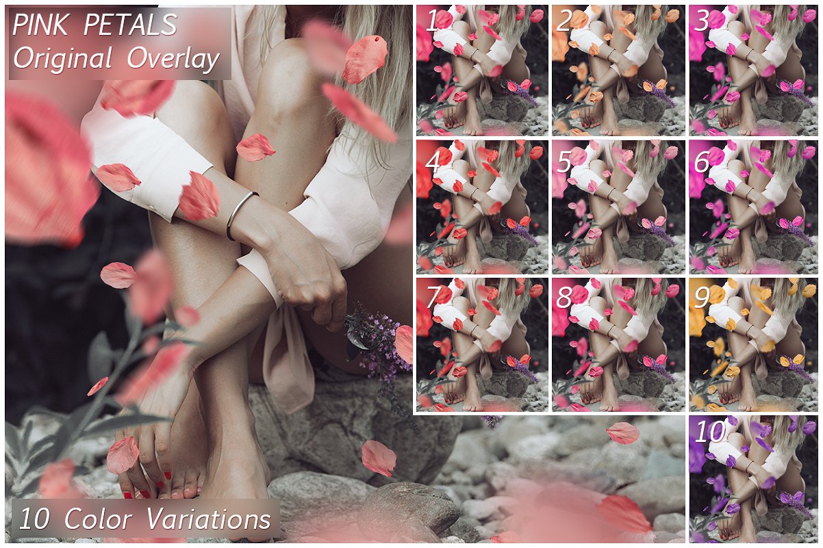 5K超高分辨率粉红色花瓣覆盖PNG图片素材 5K Petals Overlays插图11