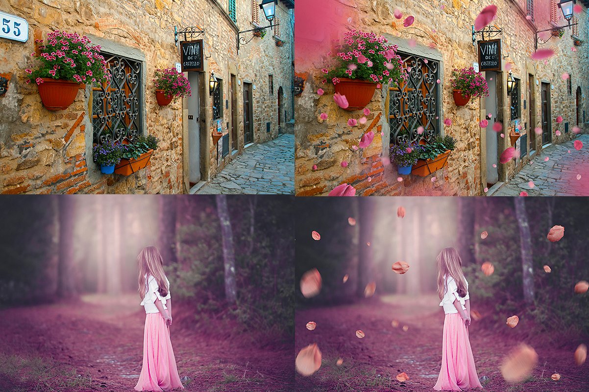 5K超高分辨率粉红色花瓣覆盖PNG图片素材 5K Petals Overlays插图2