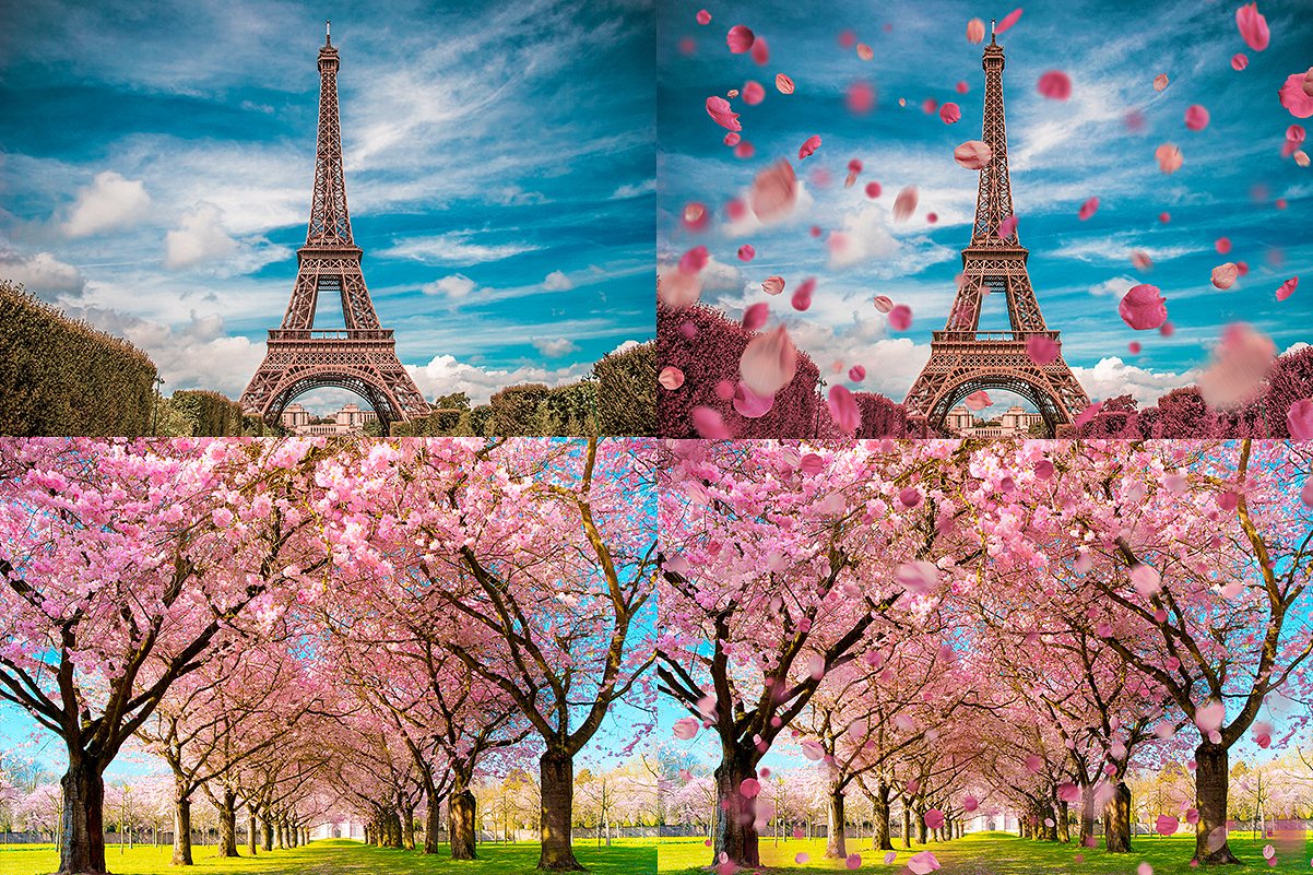 5K超高分辨率粉红色花瓣覆盖PNG图片素材 5K Petals Overlays插图3