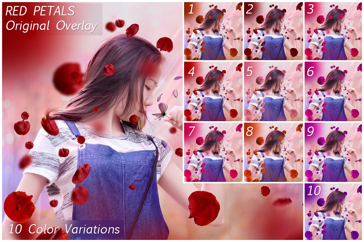 5K超高分辨率粉红色花瓣覆盖PNG图片素材 5K Petals Overlays插图7