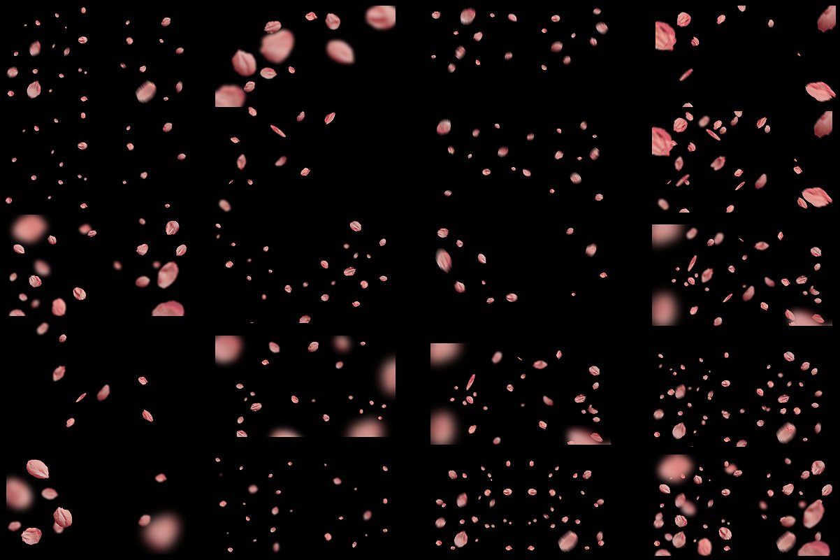 5K超高分辨率粉红色花瓣覆盖PNG图片素材 5K Petals Overlays插图10