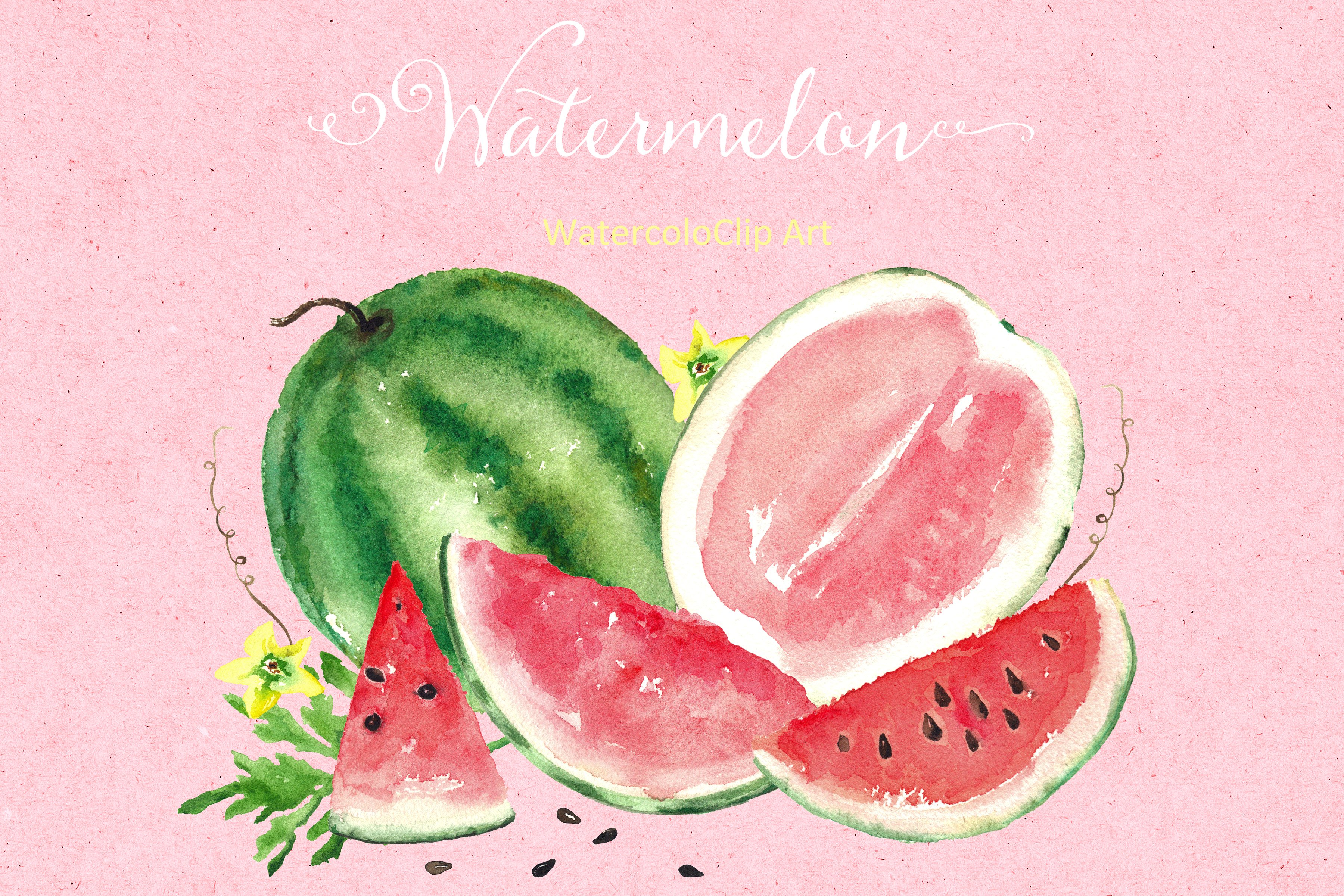 西瓜水彩水果和鲜花剪贴画 Watermelon watercolor clipart插图