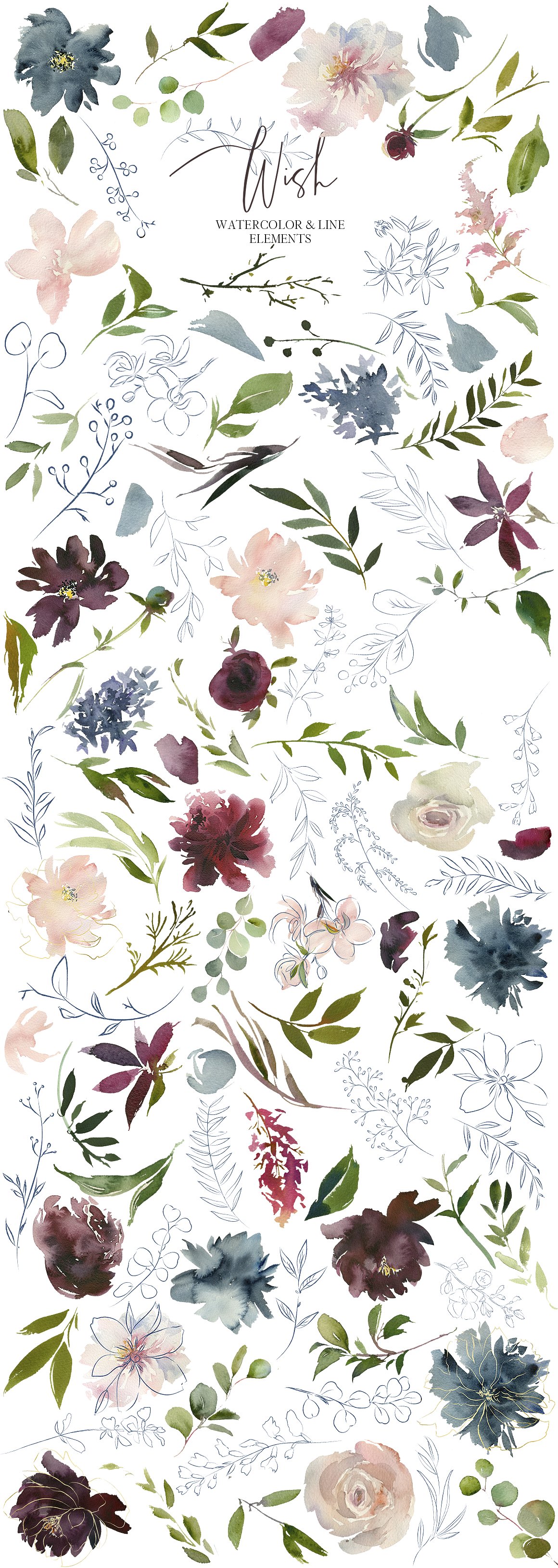 多彩优雅的花卉素材包 Wish Bordo Blue Watercolor Flowers插图4