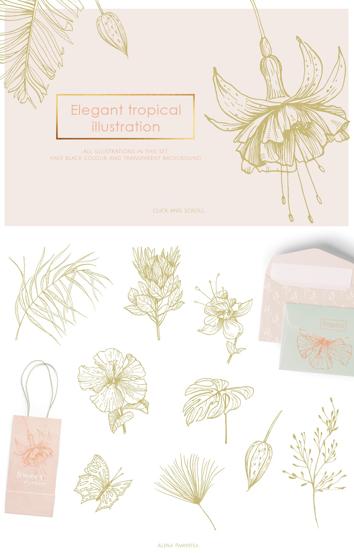 30款热带植物矢量图案集合 30 Tropical Illustrations And Patterns插图1