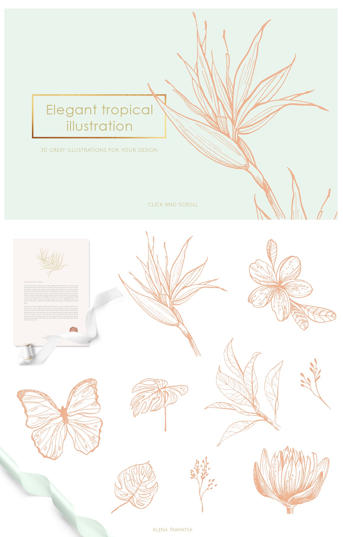 30款热带植物矢量图案集合 30 Tropical Illustrations And Patterns插图2