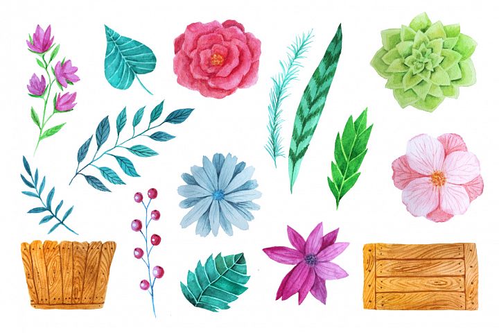 手绘水彩花卉剪贴画合集 Hand Drawn Watercolor Floral Clip Art Collection插图1